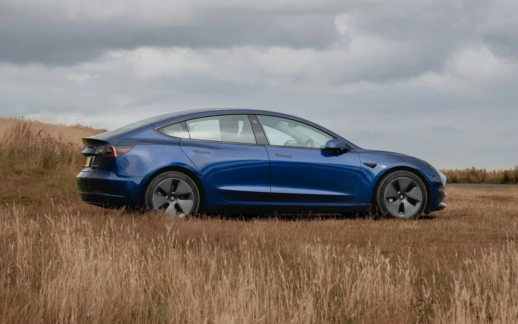 Blue Tesla Model 3 Performance, side view in an open field